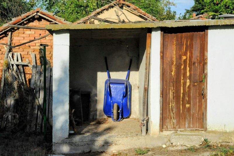 春の花壇作りのポイント